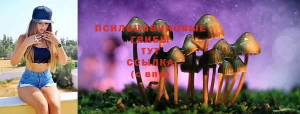 винт Вязьма