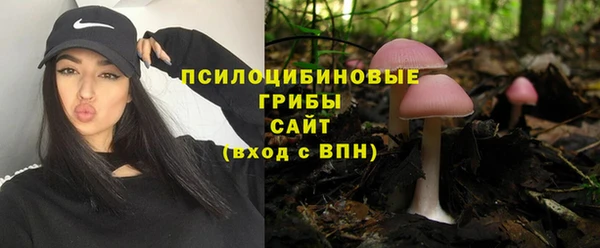 эйфоретик Вяземский