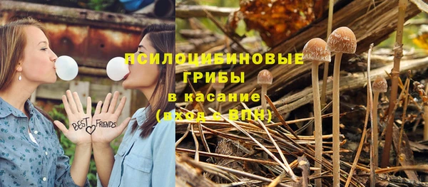 spice Вязники