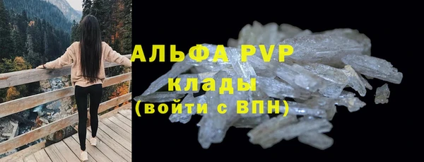 эйфоретик Вяземский