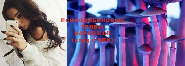 spice Вязники