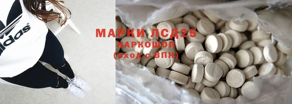 эйфоретик Вяземский