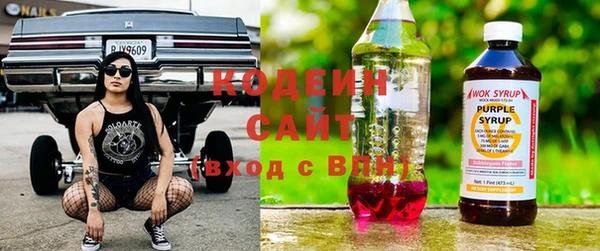 эйфоретик Вяземский